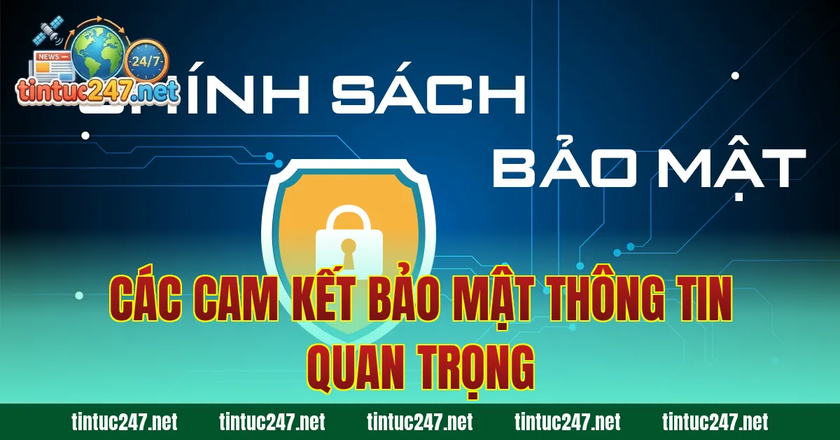Các cam kết bảo mật thông tin quan trọng