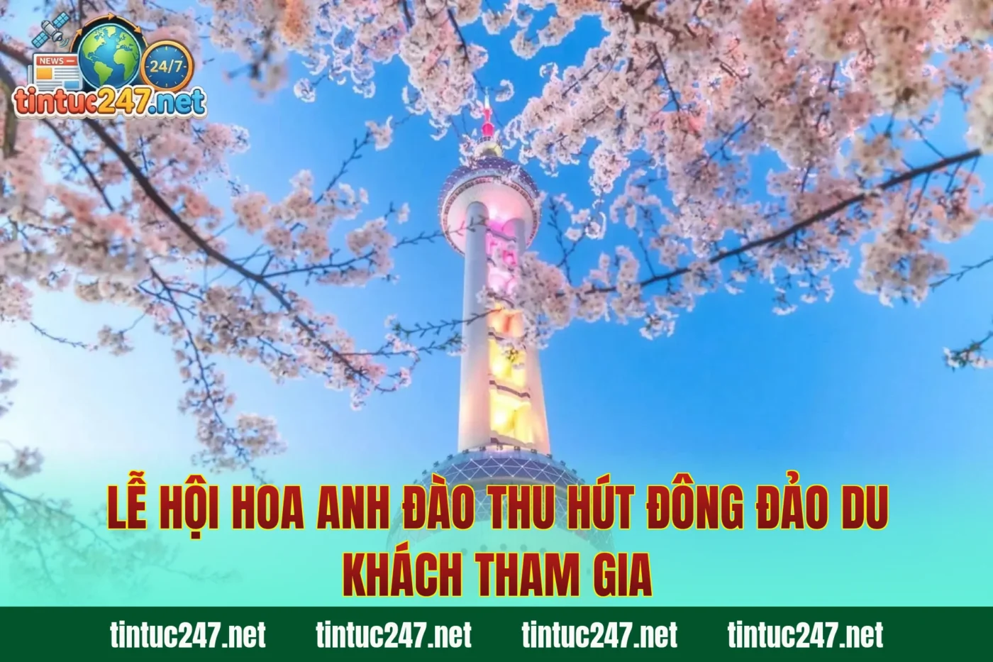 Lễ hội hoa anh đào thu hút đông đảo du khách tham gia