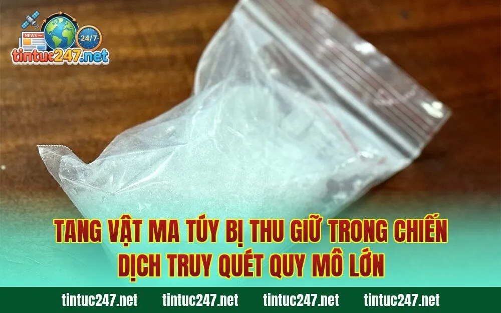 Tang vật ma túy bị thu giữ trong chiến dịch truy quét quy mô lớn