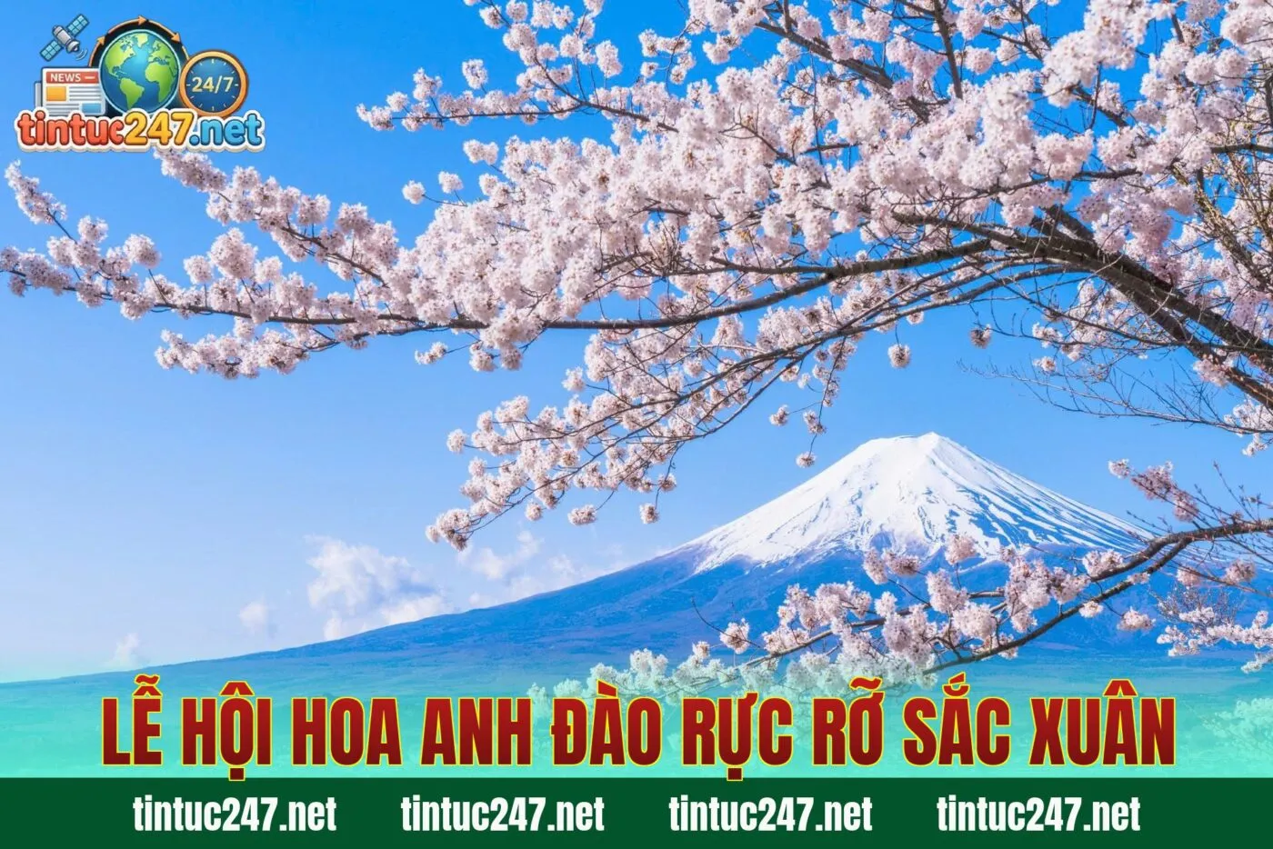 Lễ Hội Hoa Anh Đào Rực Rỡ Sắc Xuân